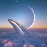 浮夸