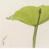 惟悟