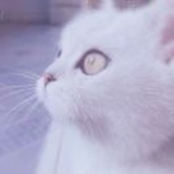 配角.