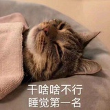 浅予