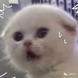 半块