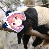 大呲花