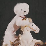 迪丽热巴
