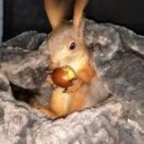 =.=