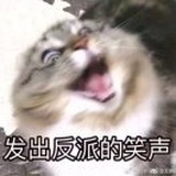 酒fafa