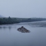 静水流深