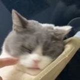 阿浪
