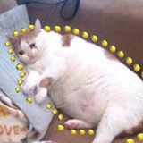 太难了