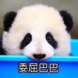水中鸟