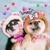 是你的妹妹啊