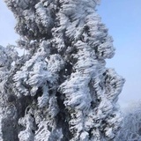 星游会