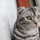 瓜瓜酱
