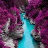 果果