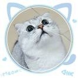 崔恩源