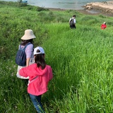 小丸子爱菠菜