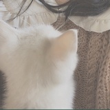 癸茗