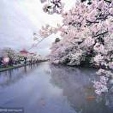 安浔