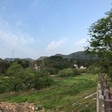 且徐行