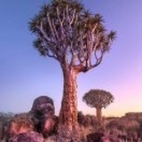 喜欢打王者的作者