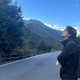 郁金香