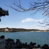 冯丽娜
