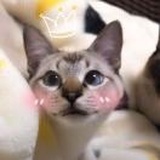 🍥蒜蓉辣酱🍥