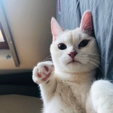 尹不平凡