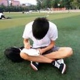 橄榄枝与自由战