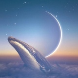 朝日初升