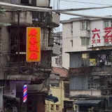 苟叶考德