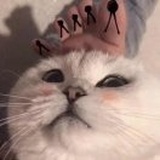 窝窝呀