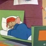 朝归之
