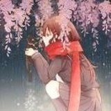 猫猫猫猫 ✨ 