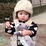 虫虫爱吃素
