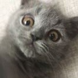 数一