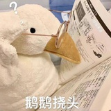 雪花呆猫子