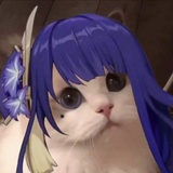 佛系喵