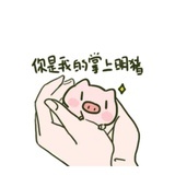 灯盏细辛