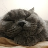 吃瓜群众