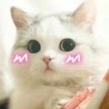 嗷大喵(^･ｪ･^)