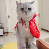 小禾馒头