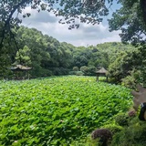 梦入混沌