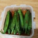 梦之桐