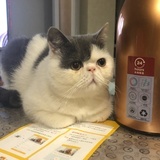 六子妈