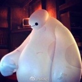 瓜皮的梦想