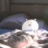 梦付千秋星垂野