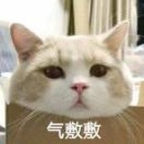 有姝