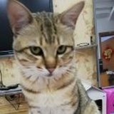 我姓李^O^