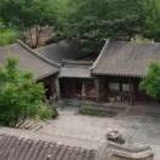 鹅
