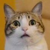 金名